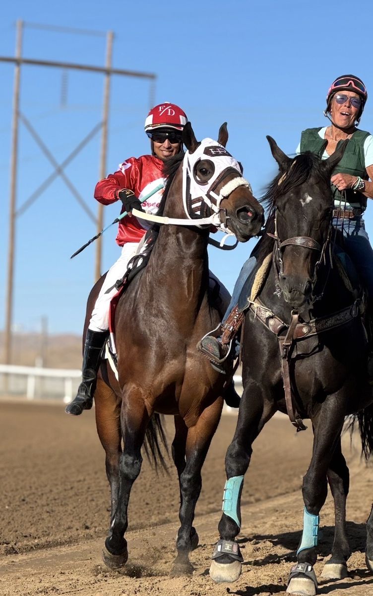 5 Yr old rope, barrel prospect!