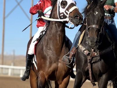 5 Yr old rope, barrel prospect!