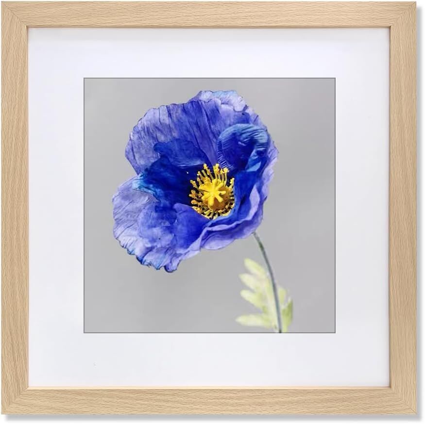 24x24 Frame Natural Wood Color, Perfect for 24x24 Inch Picture without Mat or 20x20 Inch