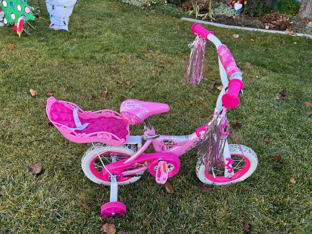 New Kids Bike