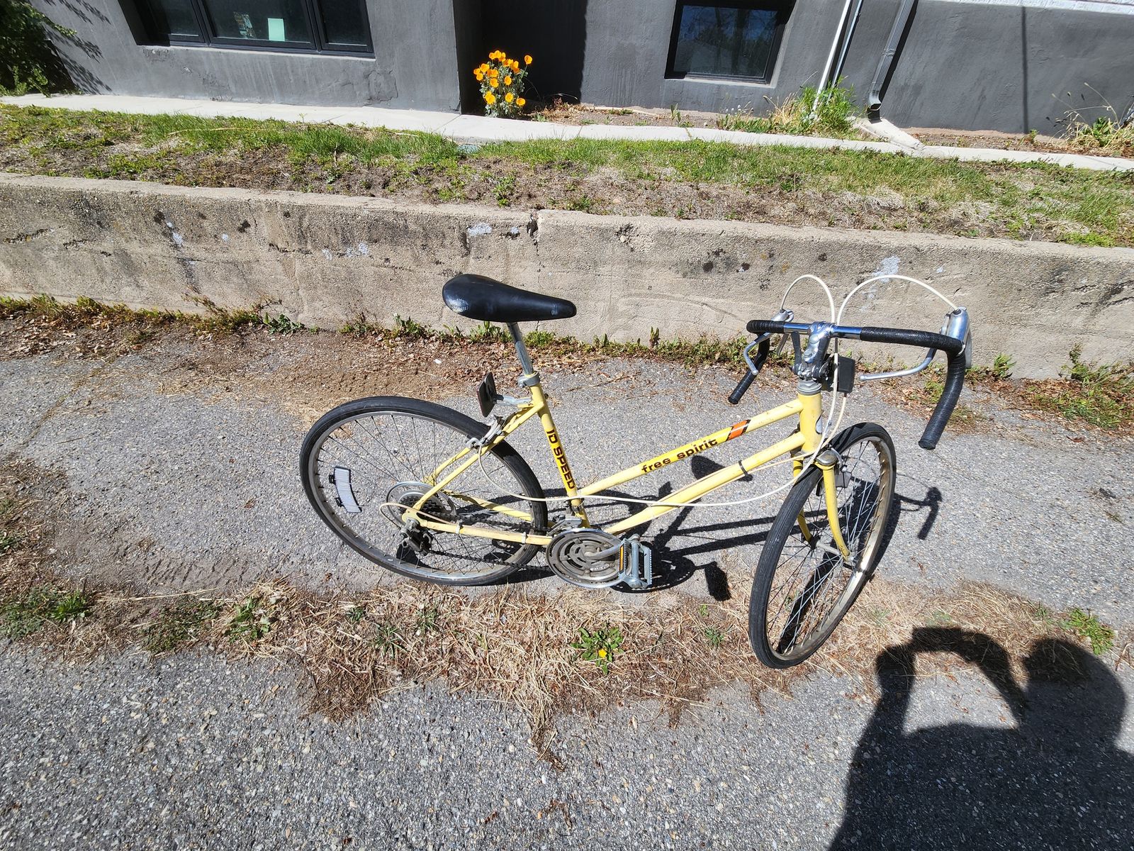 Sears Free Spirit 10 speed ladies bike.  It's tuned up ready to ride and has great tires.