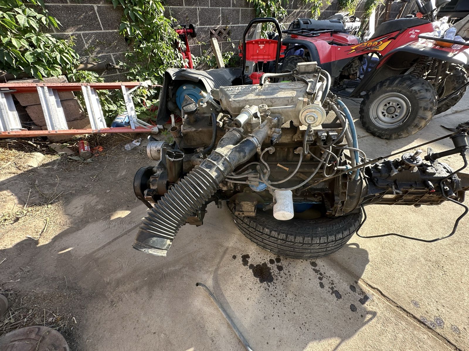 Main image 2