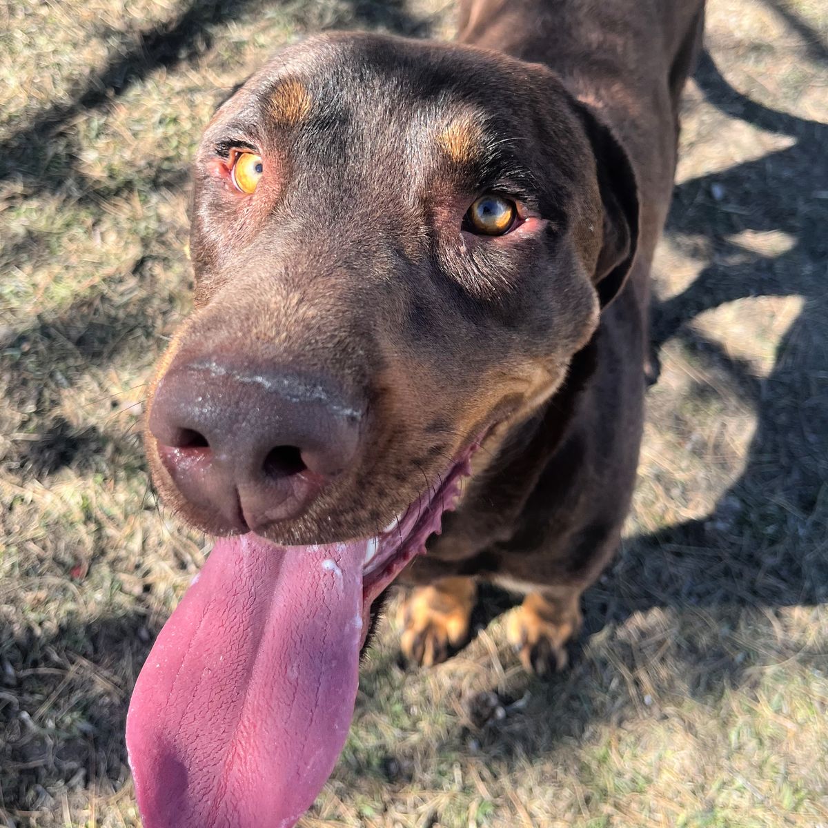 Main image 5