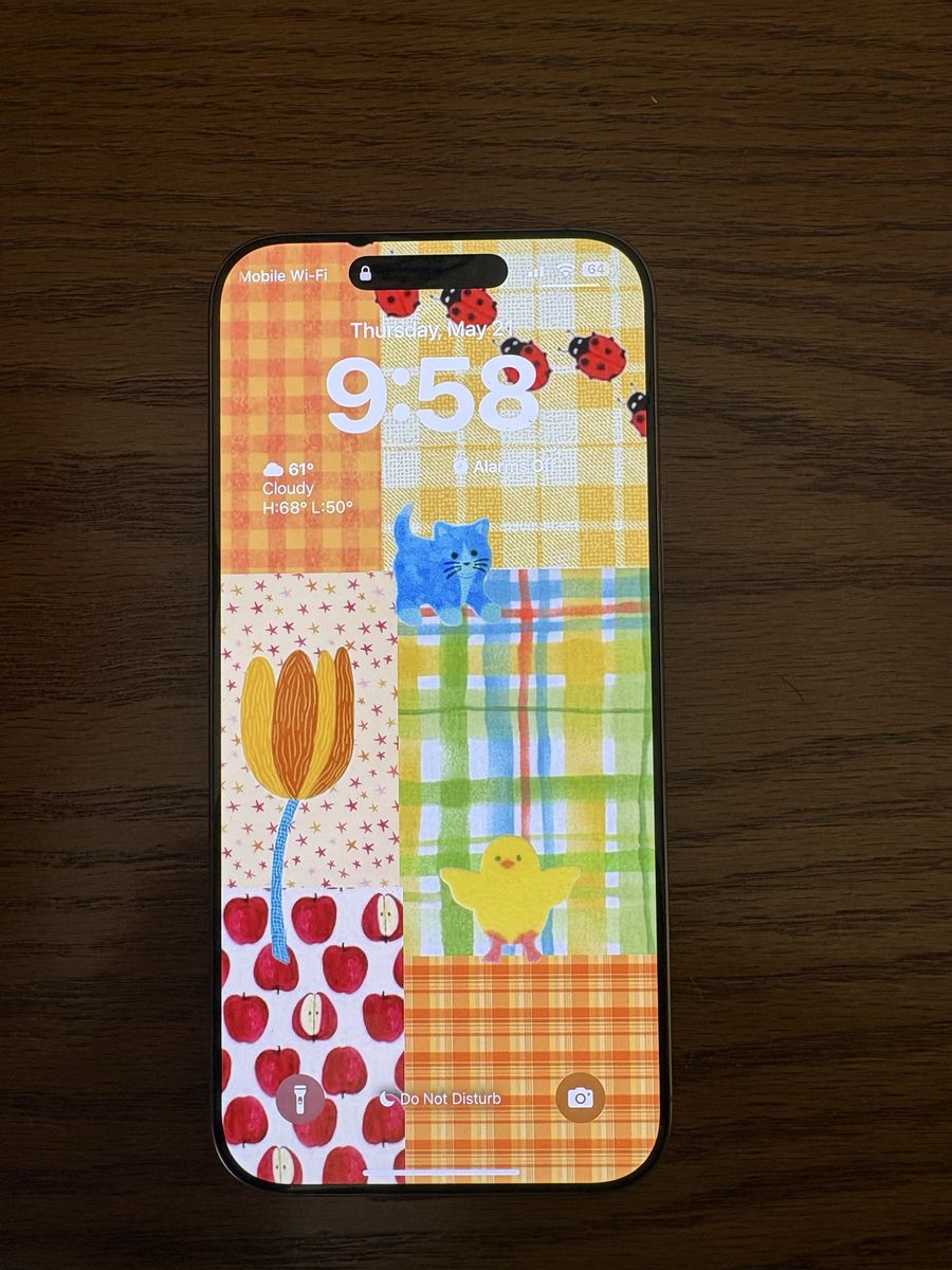 iPhone 16 Pro Max
