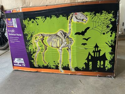 Halloween horse skeleton