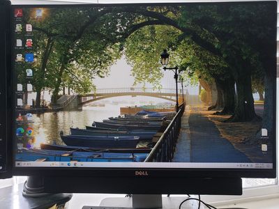 Dell 24 inch Computer Monitor ($25) + Two 19 inch Monitors ($10 each)