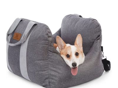 Pet Awesome Carseat pet carrier NEW