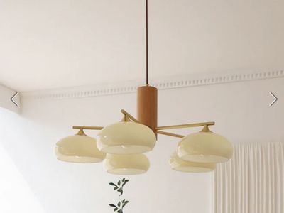 Nova Elliptical Persimmon Chandelier