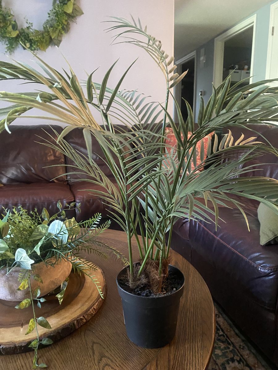 2 fake plants Mini Palms