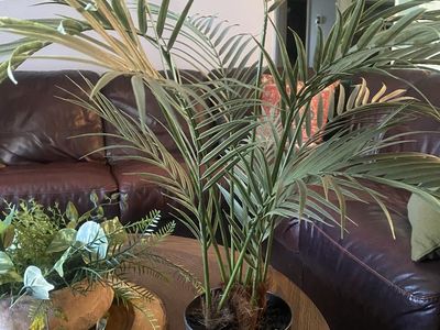 2 fake plants Mini Palms