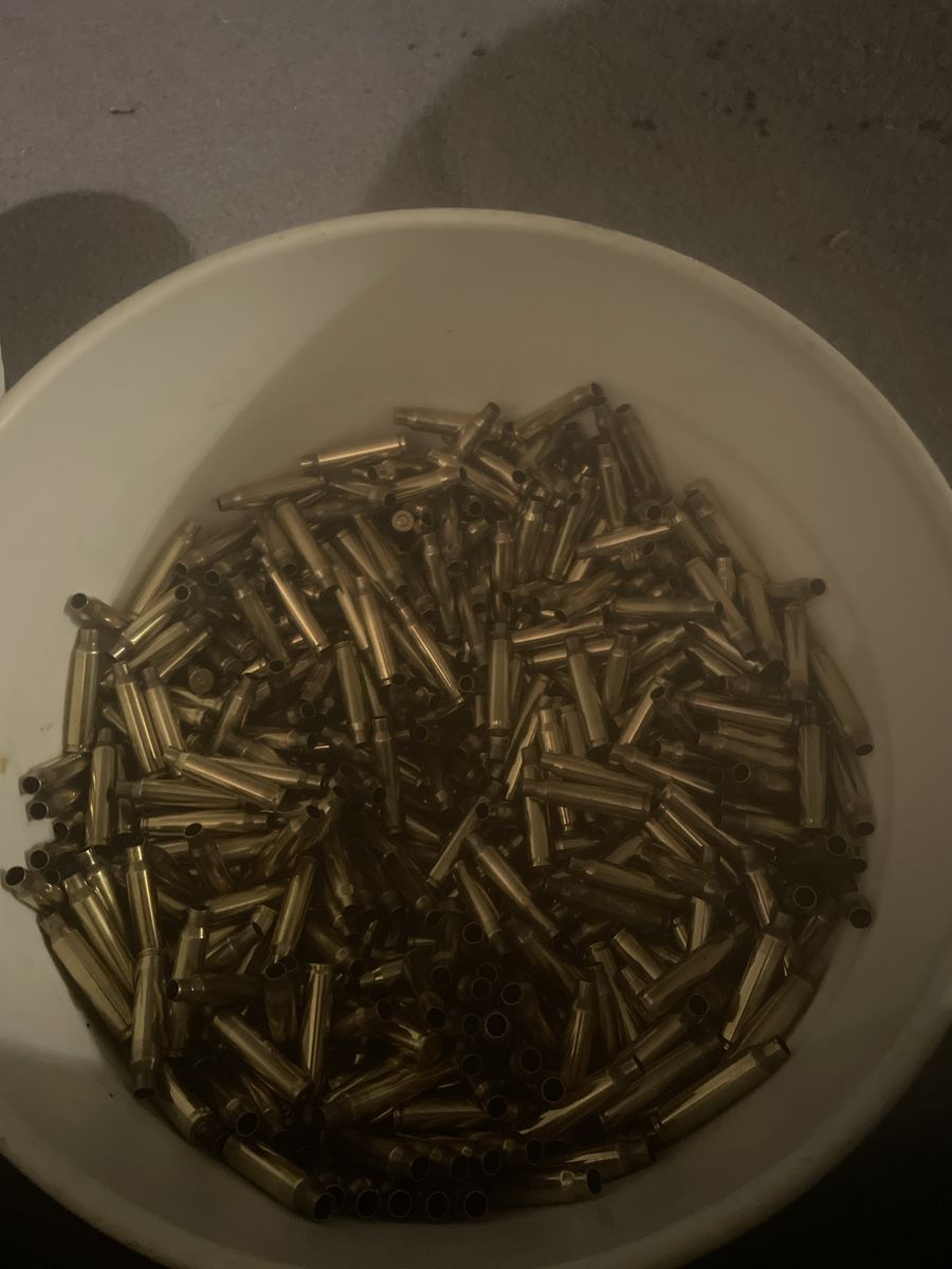 Cleaned 223/556 Brass