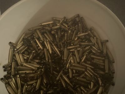 Cleaned 223/556 Brass