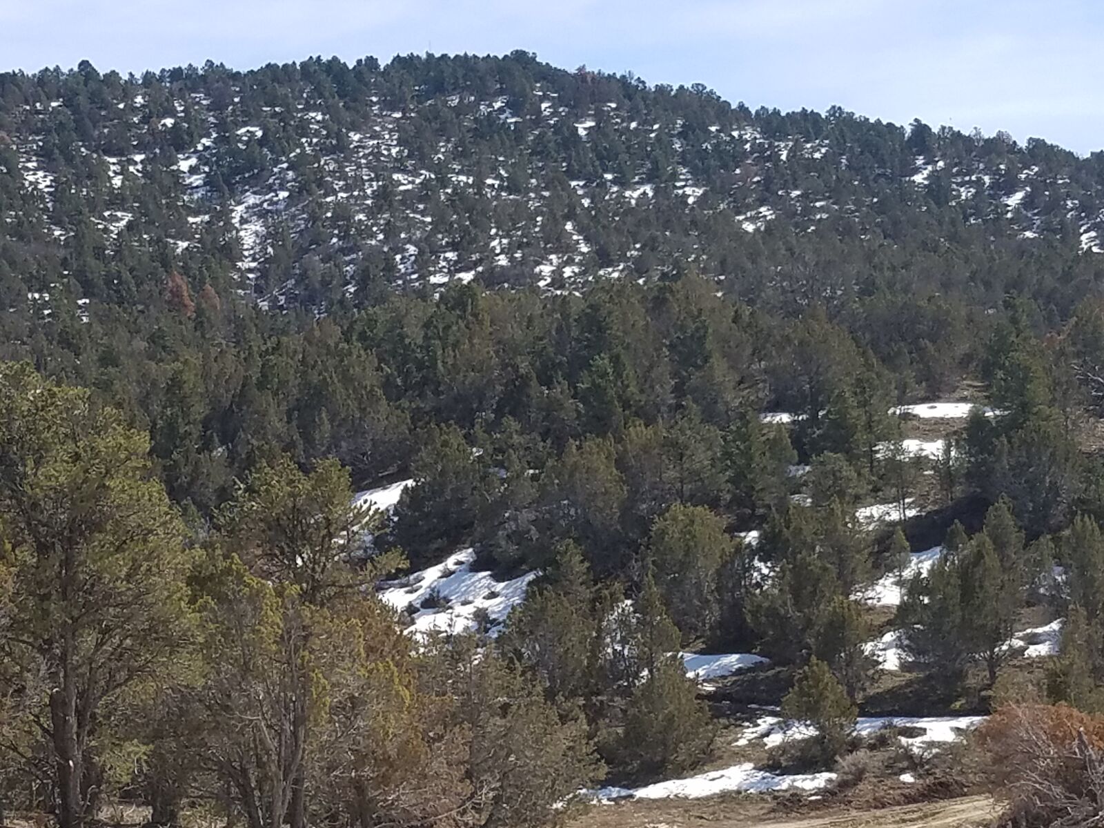 Estate Living, Redefined.