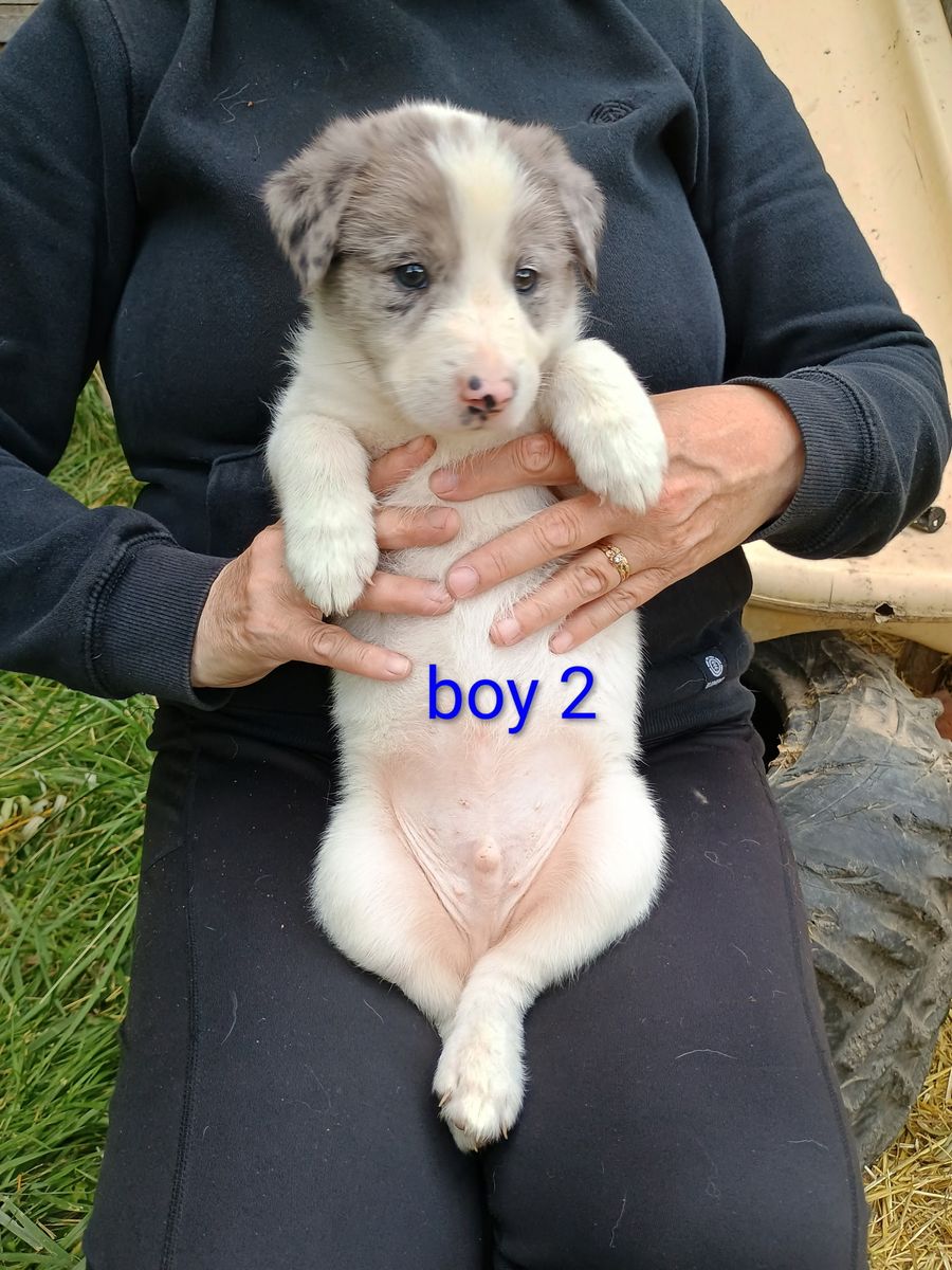 Main image 5