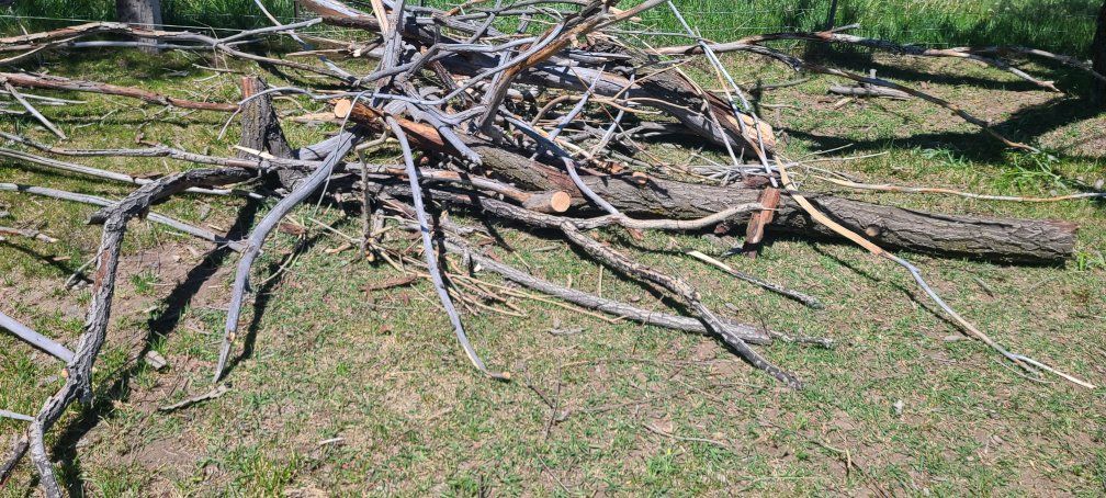 Fire Wood