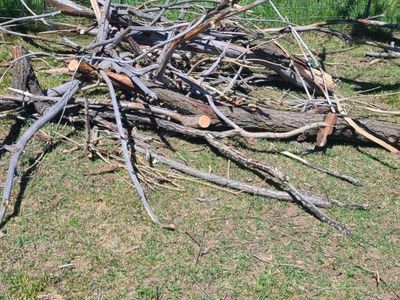 Fire Wood