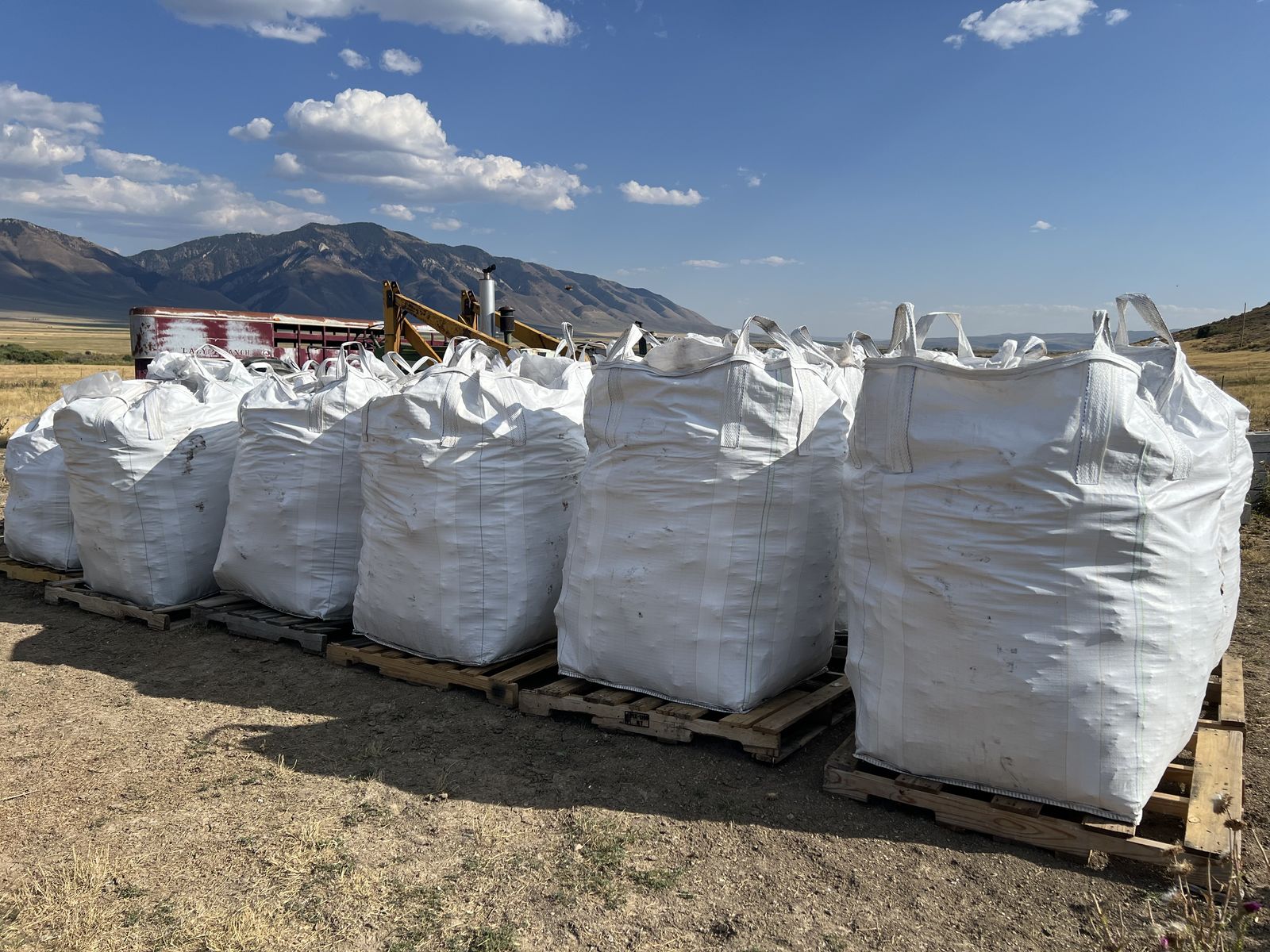 Winter is right around the corner, order coal now and you may be able to heat your home for free!