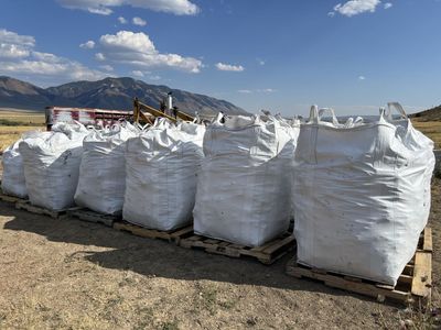 Winter is right around the corner, order coal now and you may be able to heat your home for free!