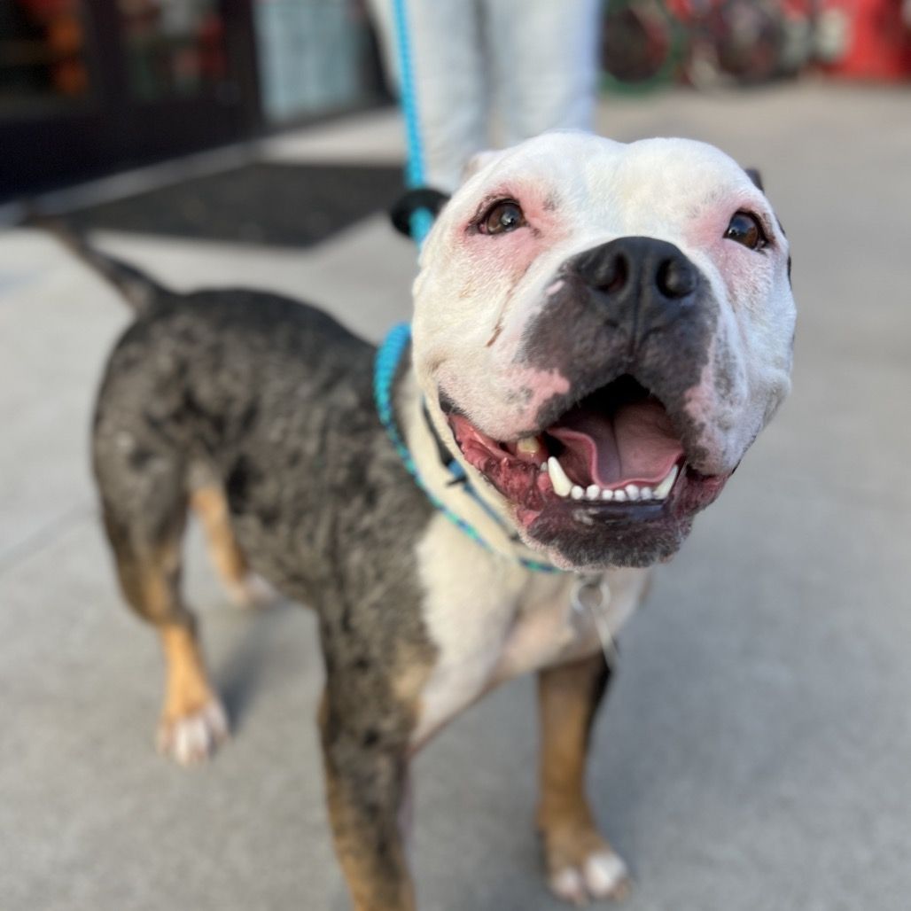 Hello my name is Bette