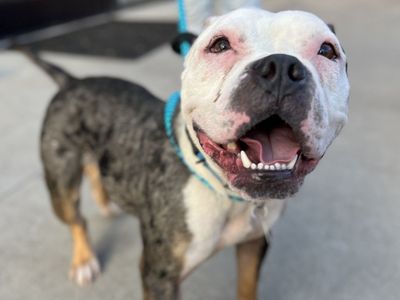 Hello my name is Bette