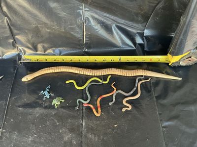 Lot of Rubber Snakes and Frogs - Various Sizes & Colors, Perfect for Pranks or Decorations