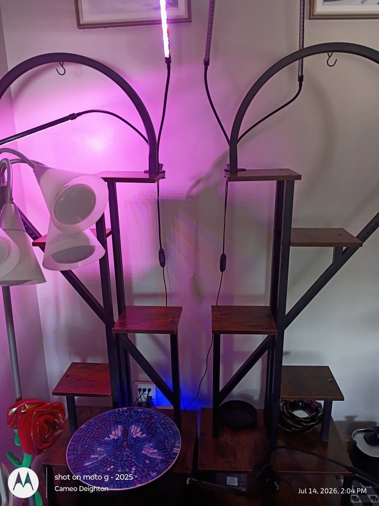Industrial Style Plant Stands with Grow Lights - Set of 2 Tiered Shelves