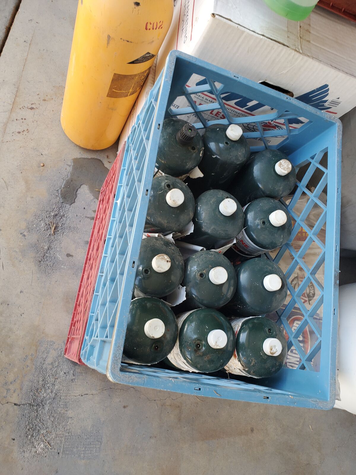 1 pound propane bottles FULL