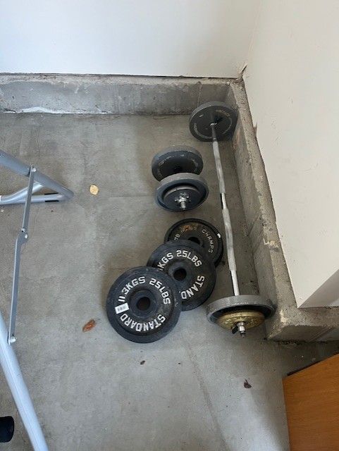 Weights and Curl Bar