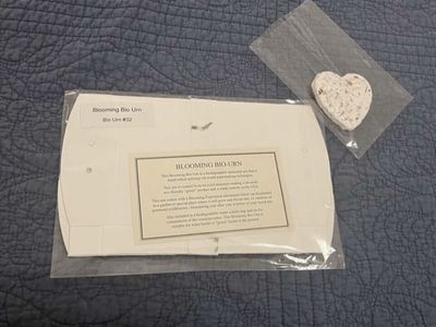 Urn, Biodegradable, for Cremated Remains or Ashes