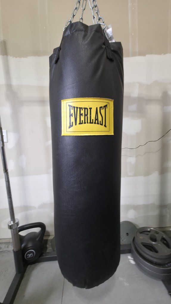 Everlast Punching Bag