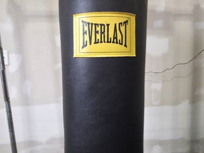 Everlast Punching Bag