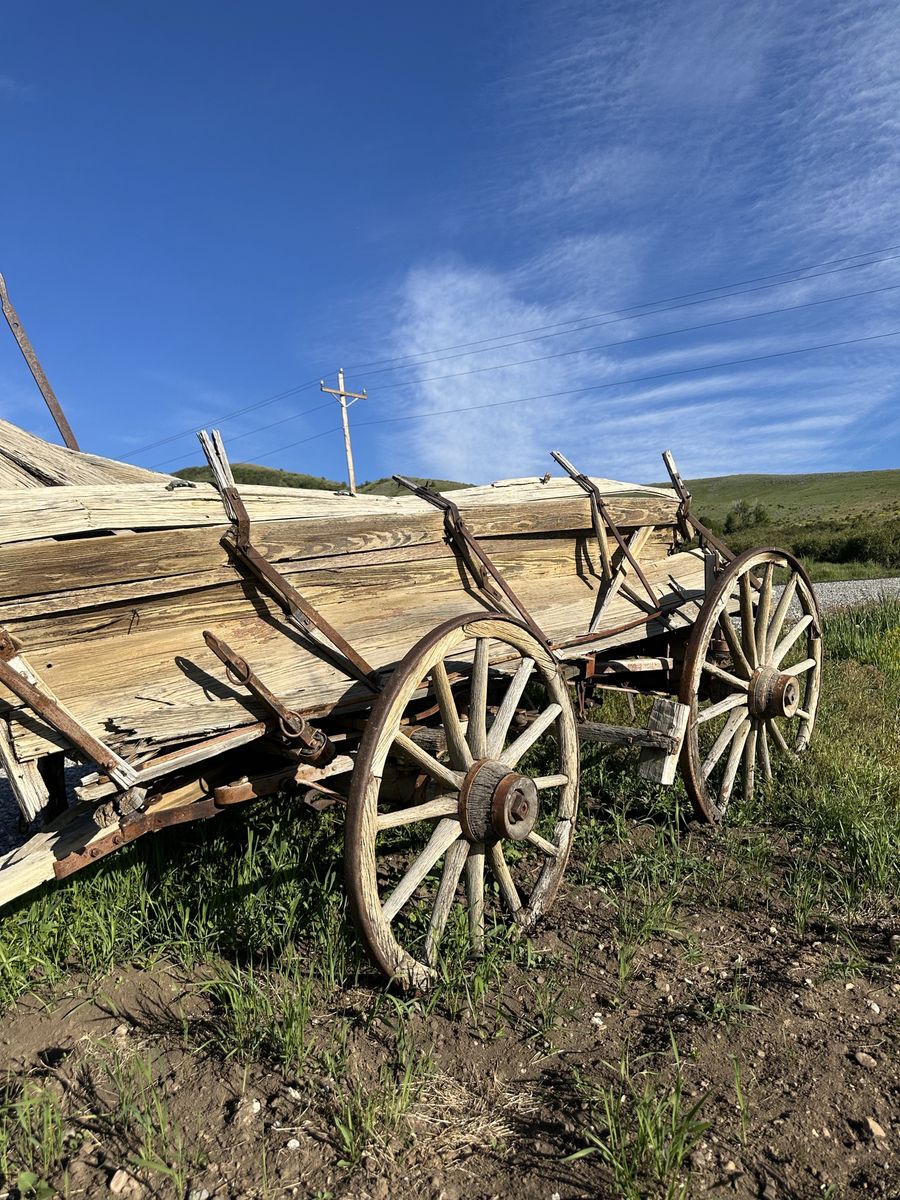 Authentic Antique Horse-Drawn Farm Wagon | Western Ranch Decor | Early 1900s