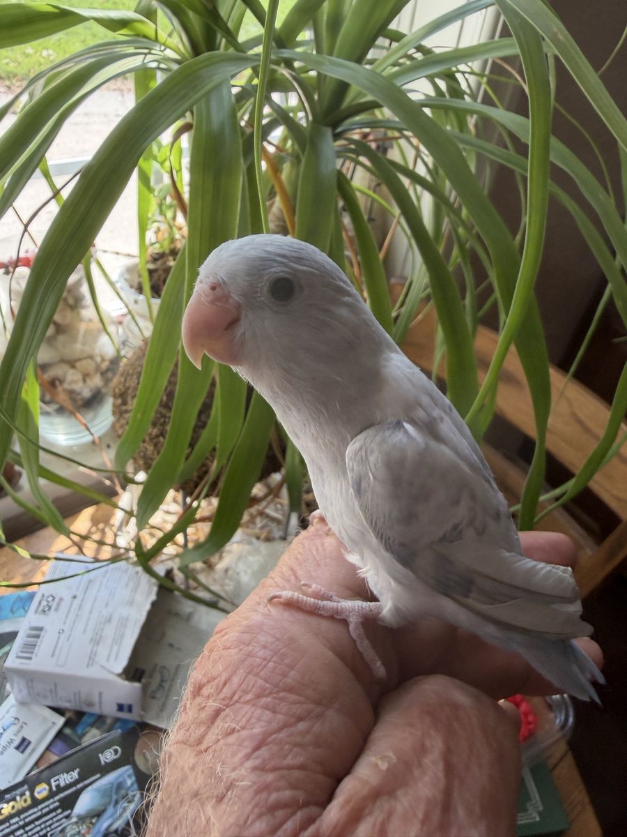 Main image 4