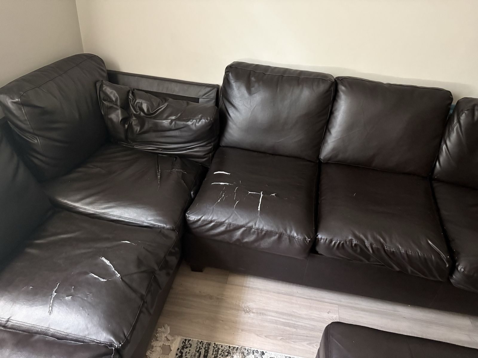 Main image 2
