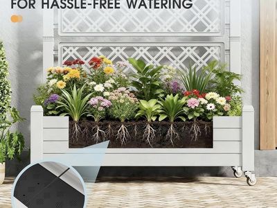 Ashen Raised Garden Bed with Trellis & Wheels - Planter Box for Patio, Deck, Yard