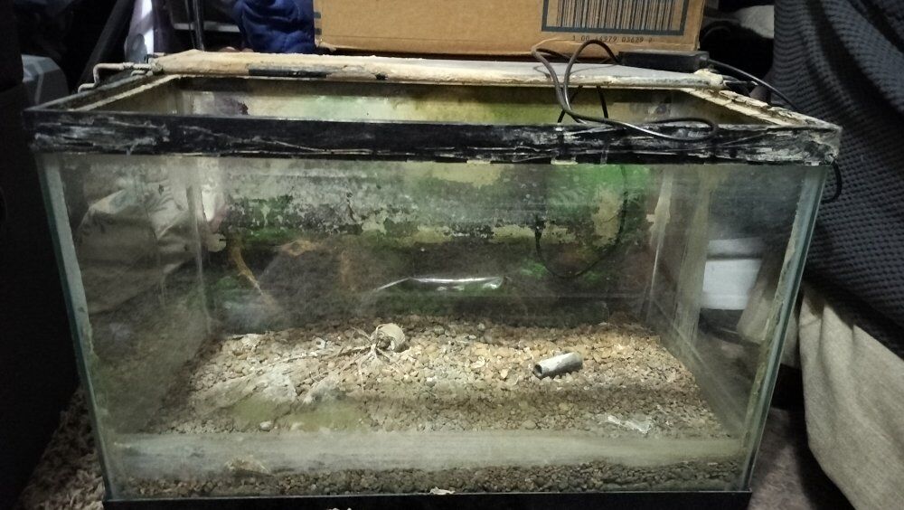 10 gal fish tank and led light