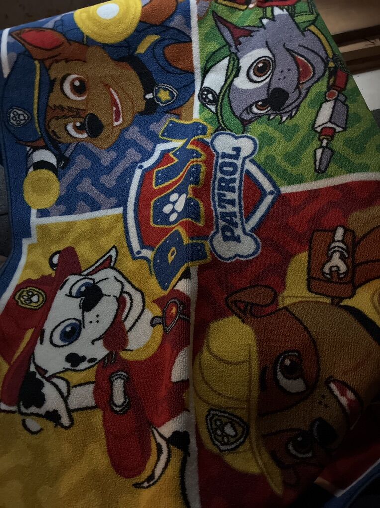 Paw Patrol Rug