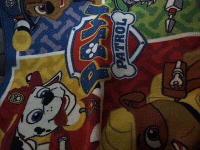 Paw Patrol Rug