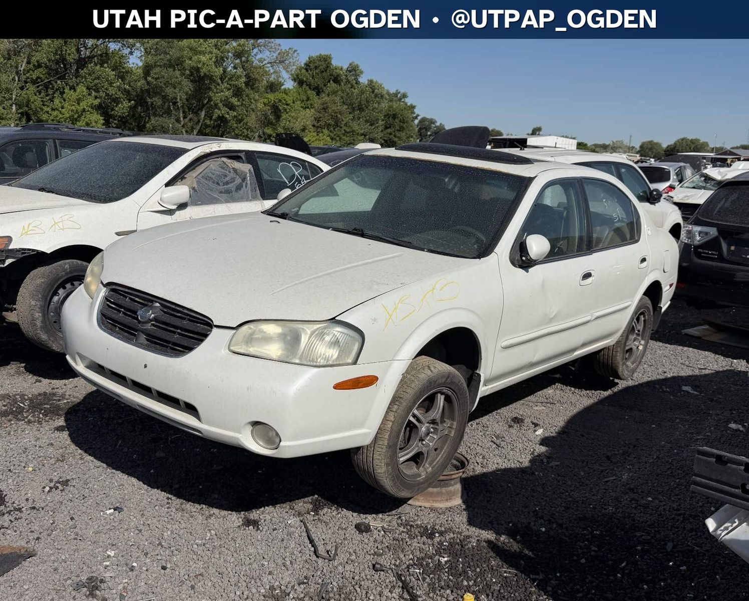2001 Nissan Maxima Parts - UTPAP Ogden