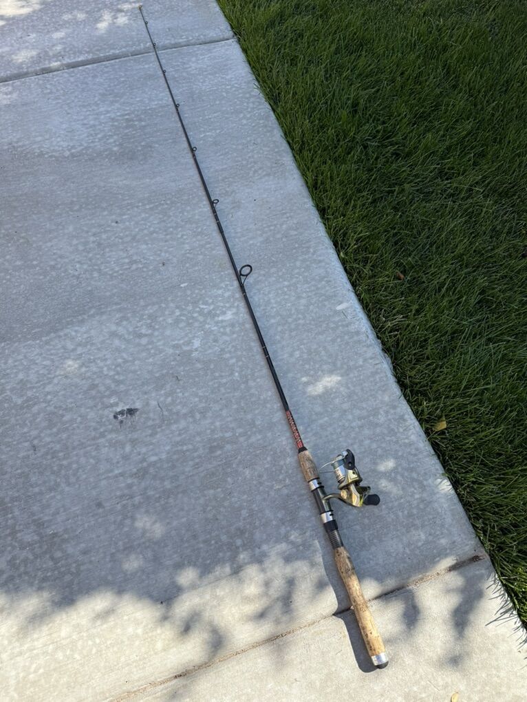 Daiwa Procaster Fishing Pole And Shimano Symetric