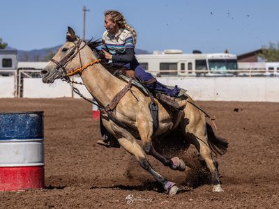 Buckskin gelding rodeo ranch trails