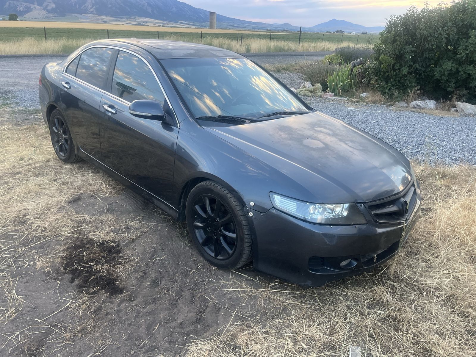 2007 Acura TSX 