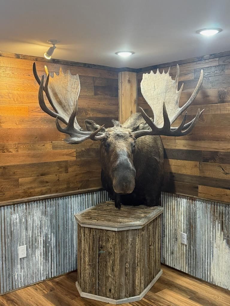 Custom taxidermy pedestals