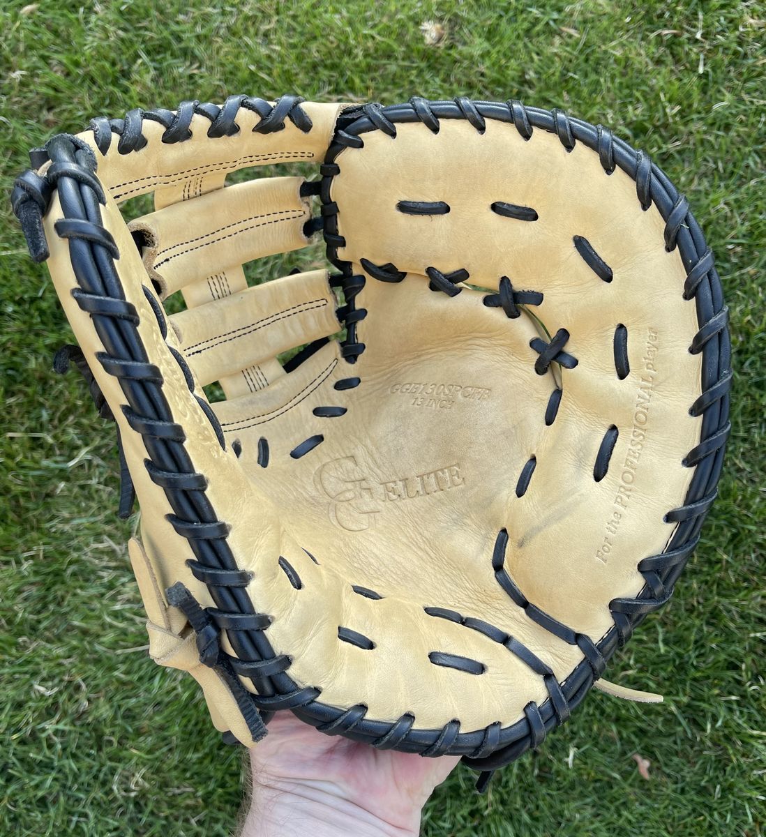 Rawlings 1Gold Glove Elite 13 in. 1B Baseball/Softball Glove