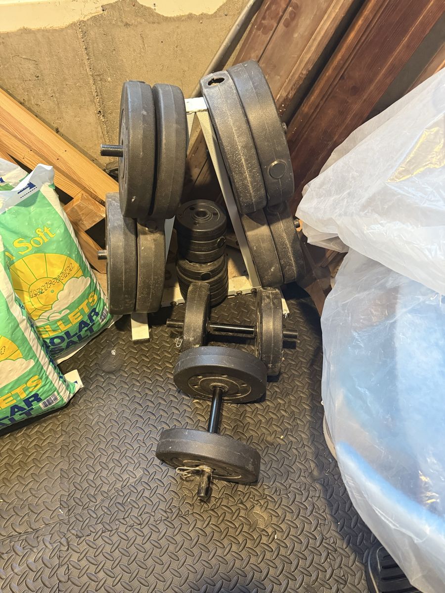 Adjustable Dumbbell Set with Weight Plates and Stand