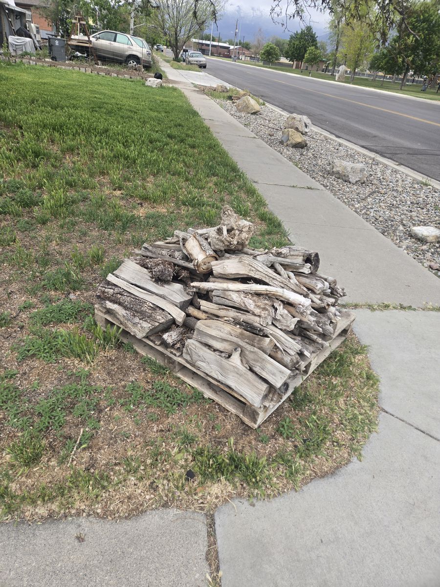 Free Bonfire, Campfire, Fire pit wood