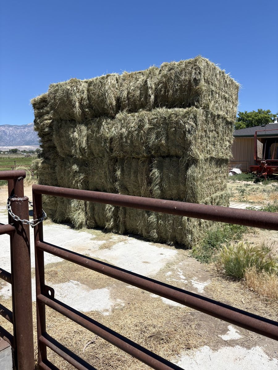 Main image 2