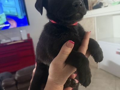 Rehome