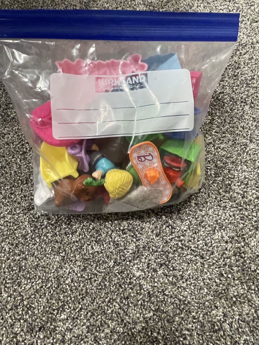 Barbies & Disney Princess Little People