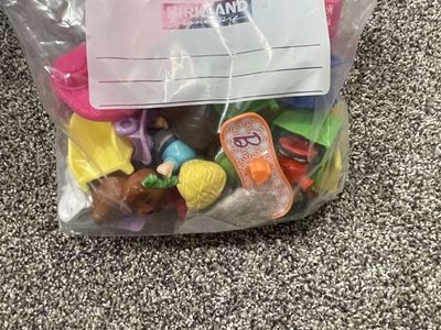 Barbies & Disney Princess Little People